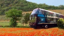 Eventbus &bdquo;Taomobil&ldquo; kommt nach Vettelscho&szlig;